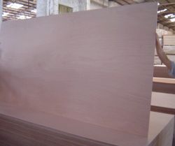 China High Quality Low Price Plywood