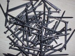 Hot Dipped Galvanized Common Nails
