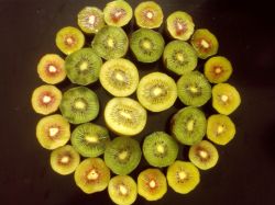 Supplying Kiwi Fruit