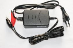 Rn100-xx Serie 24/36v Nimh/nicd Battery Charger