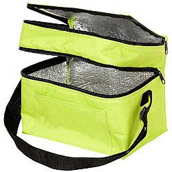 Lunch Bag/cooler Bag 