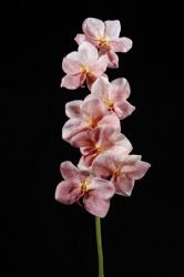 Artificial Vanda Orchid Flower