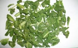 Freeze Dried Spinach