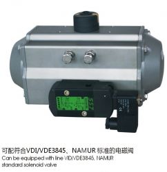 Pneumatic Actuator