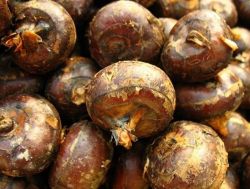 Chuafa Extract(water Chestnuts Extract )