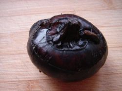 Chuafa Extract(water Chestnuts Extract )