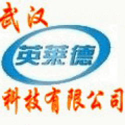 Wuhan Ying Ryder Technology Co., Ltd.