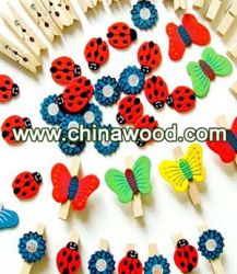 Wooden Painted Pegs