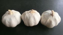 White Garlic Made In China