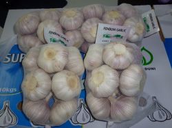 Chinese Fresh Garlics ( Global Gap, Haccp)