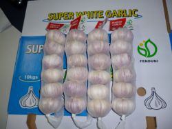 Chinese Fresh Garlic -all Kinds Packages