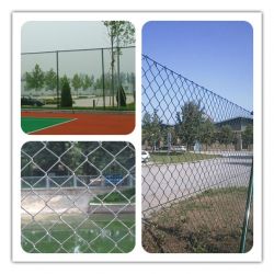 Chain Link Fence (galvanized\pvc Coated)