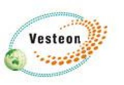 Shandong Vseteon Automotive Parts Co.,ltd