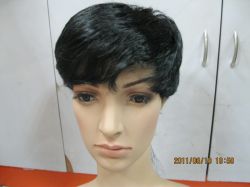 2012 New Fashion Wigs Human Hair Hot Sell 