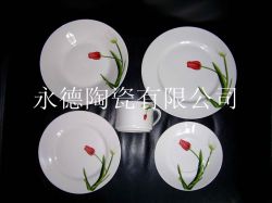 20pcs Porcelain Dinnerware