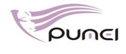 Qingdao Pumei Hair Products Co., Ltd 