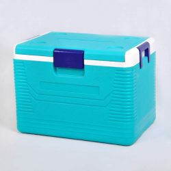 Medical Cooler Box, Vaccine Carrier/plastic Cooler