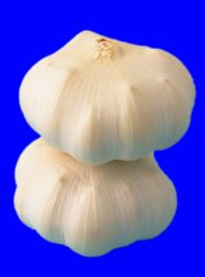 China Fresh Organic Garlic (best Taste, Low Price)