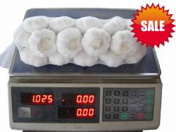 Sell Normal White Garlic 2013 Jinxiang Crop