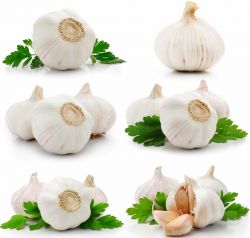 China Fresh White Garlic - High Quality,best Taste