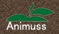 Animuss  Company  Limited