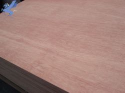 Underlament Plywood,flooring Plywood 