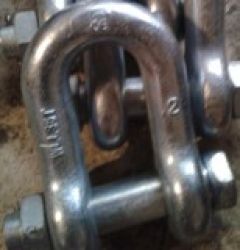 Commercial Frade Screw Pin Anchor Shackle, U. S. T