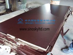 1220x2440x18mm Film Face Plywood Factory