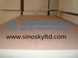 China Plywood Manufacturer