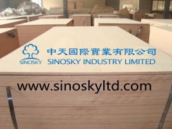 High Quality Plywood From China
