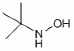 N-tert-butylhydroxylamine  16649-50-6