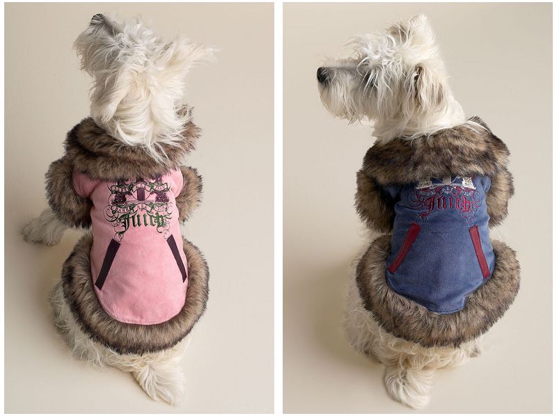 juicy couture dog tracksuit