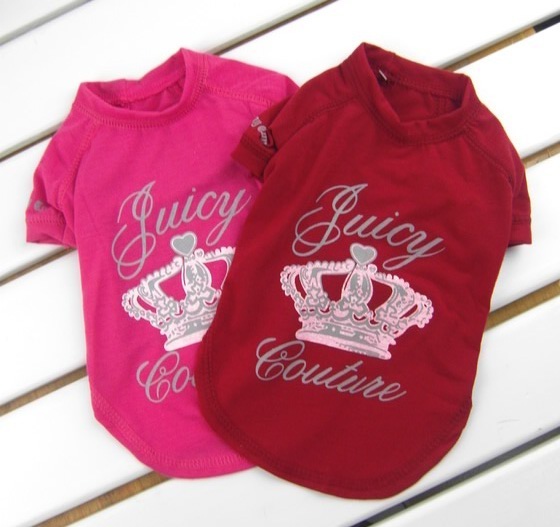 juicy couture dog tracksuit