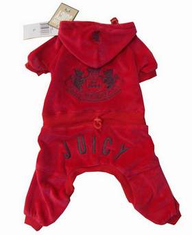 juicy couture dog tracksuit